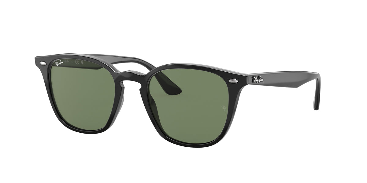 Ray-Ban RB4258F Black Sunglasses