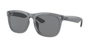 Ray-Ban RB4260D Transparent Grey Sunglasses