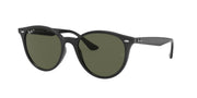 Ray-Ban RB4305F Black Sunglasses