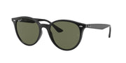 Ray-Ban RB4305 Black Sunglasses