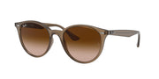 Ray-Ban RB4305 Beige Sunglasses