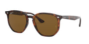 Ray-Ban RB4306F Light Havana Sunglasses