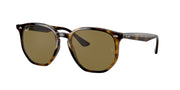 Ray-Ban RB4306 Light Havana Sunglasses
