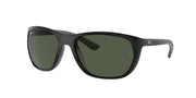 Ray-Ban RB4307 Black Sunglasses