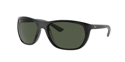Ray-Ban RB4307 Sunglasses