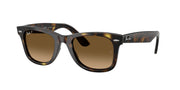 Ray-Ban RB4340 Havana Sunglasses