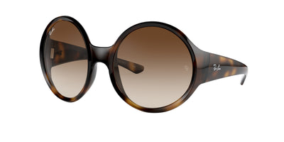 Ray-Ban RB4345 Sunglasses