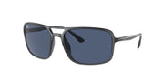 Ray-Ban RB4375 Transparent Grey Sunglasses
