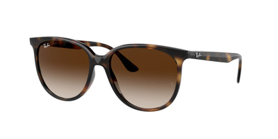 Ray-Ban RB4378 Sunglasses