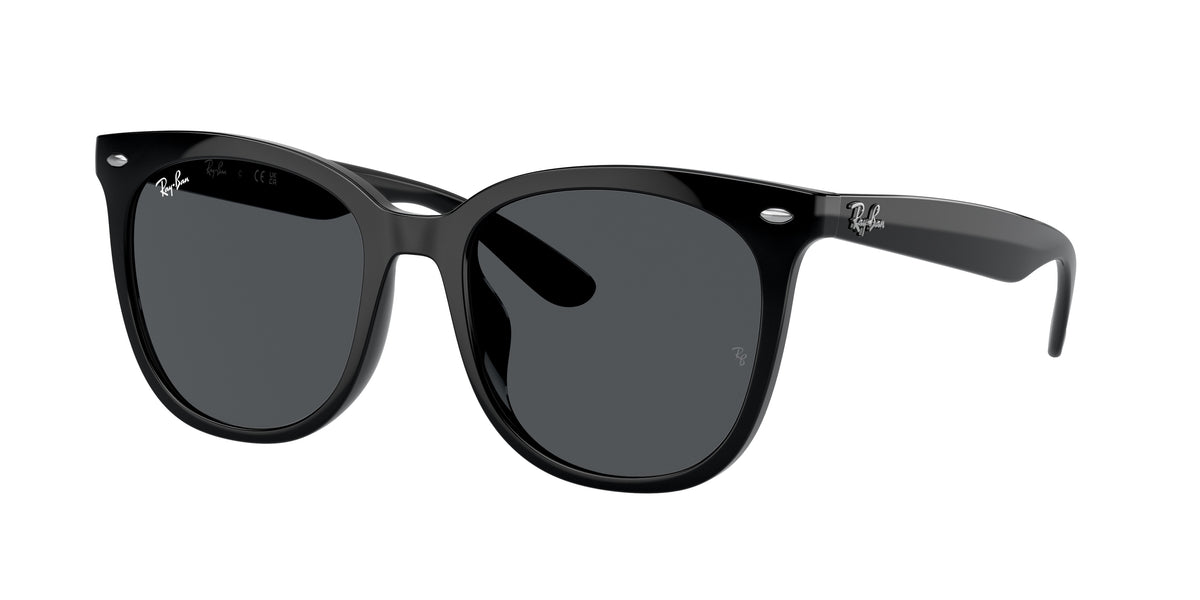 Ray-Ban RB4379D Black Sunglasses