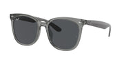 Ray-Ban RB4379D Transparent Grey Sunglasses