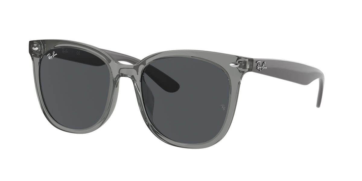 Ray-Ban RB4379D Transparent Grey Sunglasses
