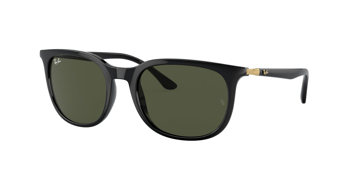 Ray-Ban RB4386 Black Sunglasses