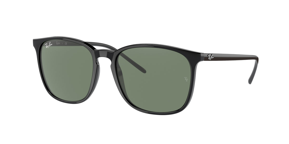 Ray-Ban RB4387F Black Sunglasses