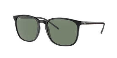 Ray-Ban RB4387F Sunglasses