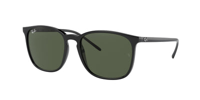 Ray-Ban RB4387 Sunglasses