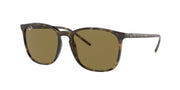 Ray-Ban RB4387 Light Havana Sunglasses