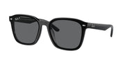 Ray-Ban RB4392D Black Sunglasses