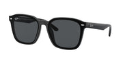 Ray-Ban RB4392D Black Sunglasses