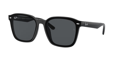 Ray-Ban RB4392D Sunglasses