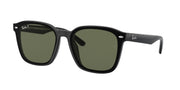 Ray-Ban RB4392D Black Sunglasses