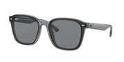 Ray-Ban RB4392D Transparent Grey Sunglasses