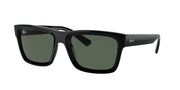 Ray-Ban RB4396 Black Sunglasses