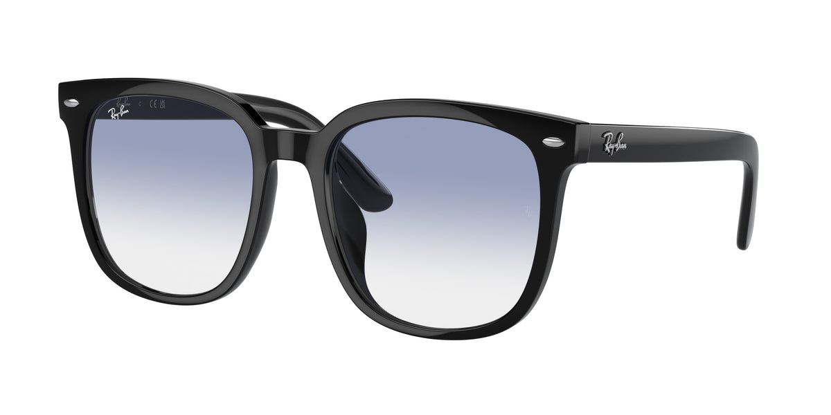 Ray-Ban RB4401D Black Sunglasses