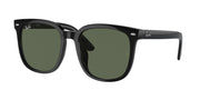 Ray-Ban RB4401D Black Sunglasses