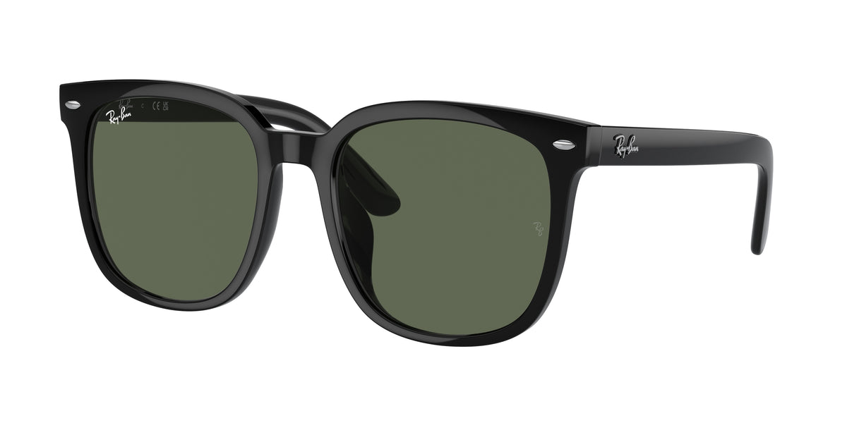 Ray-Ban RB4401D Black Sunglasses