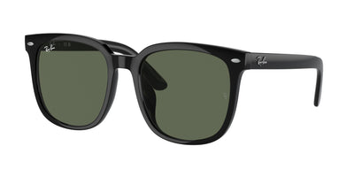 Ray-Ban RB4401D Sunglasses