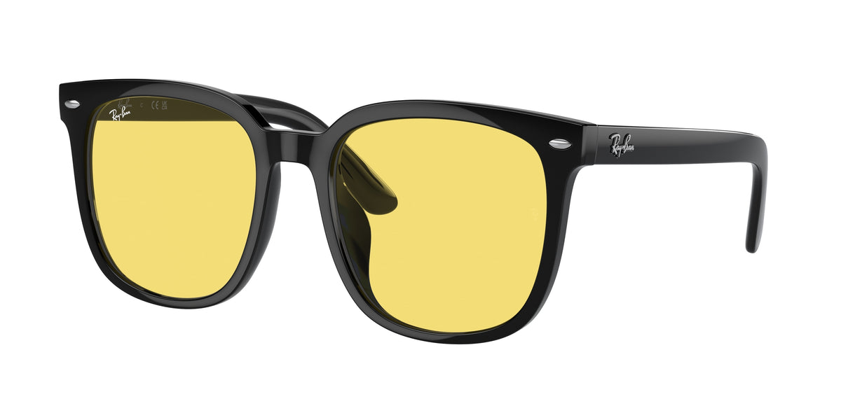 Ray-Ban RB4401D Black Sunglasses