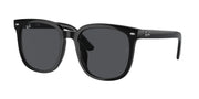 Ray-Ban RB4401D Black Sunglasses