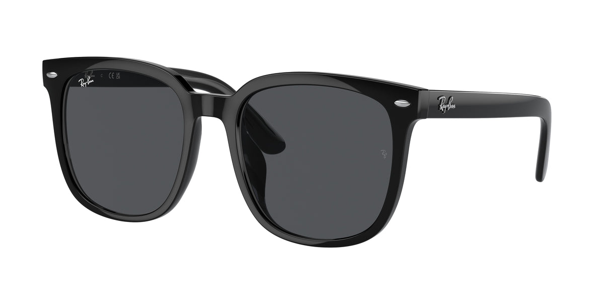 Ray-Ban RB4401D Black Sunglasses