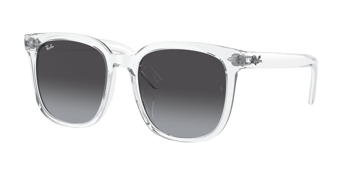 Ray-Ban RB4401D Transparent Sunglasses