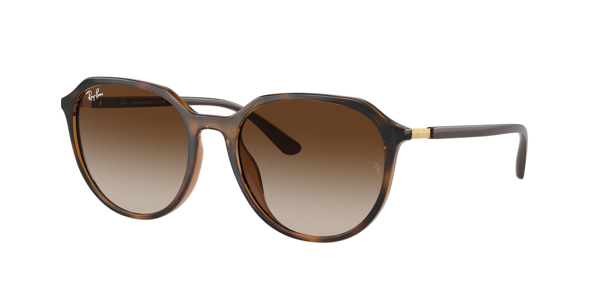 Ray-Ban RB4415L Dark Havana Sunglasses