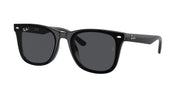 Ray-Ban RB4420 Black Sunglasses
