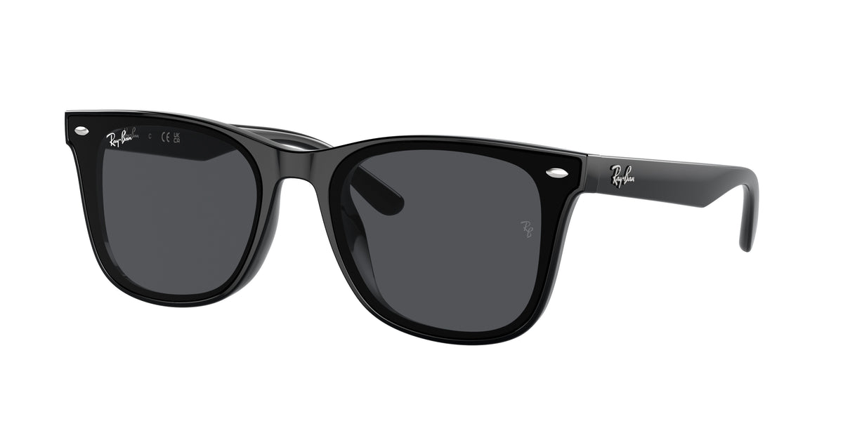 Ray-Ban RB4420 Black Sunglasses