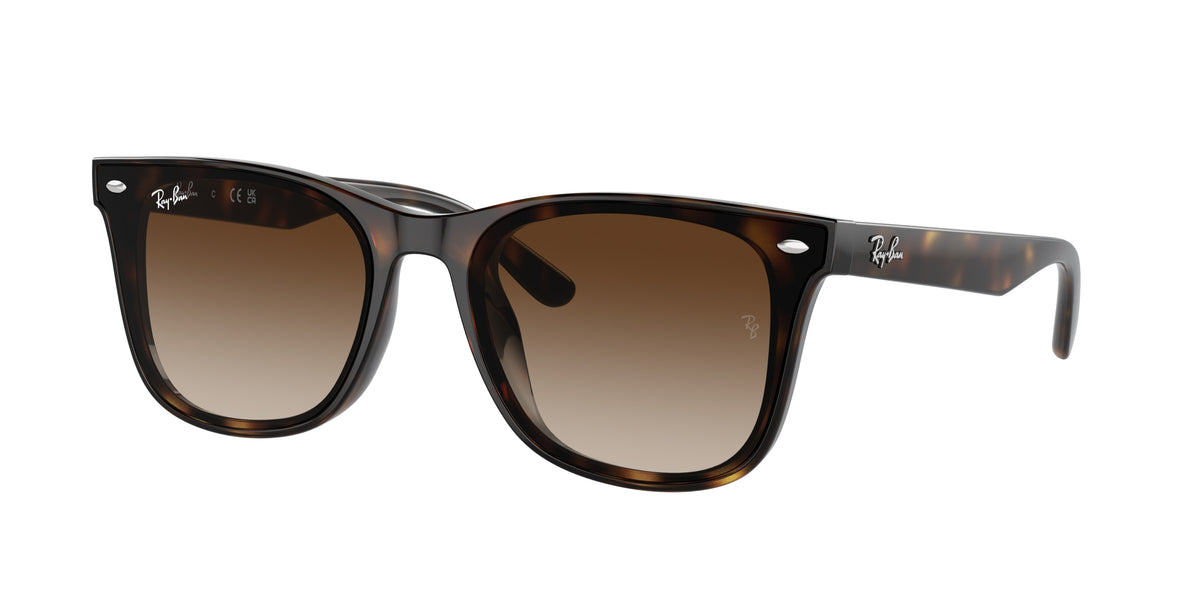 Ray-Ban RB4420 Havana Sunglasses
