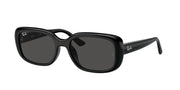 Ray-Ban RB4421D Black Sunglasses