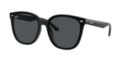 Ray-Ban RB4423D Black Sunglasses
