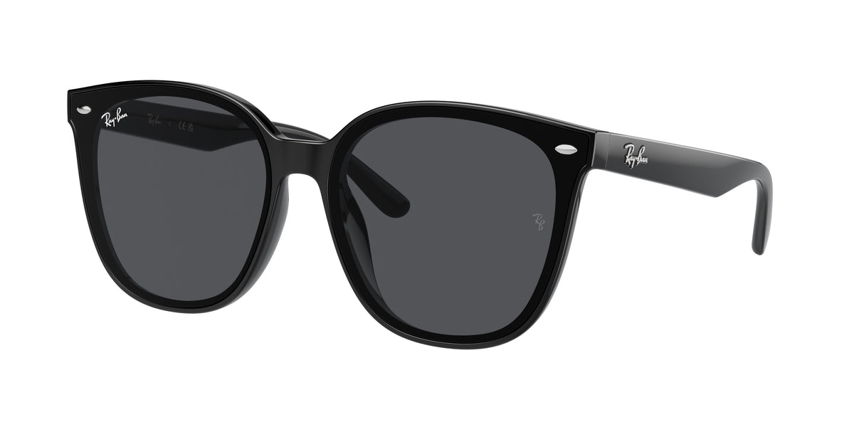 Ray-Ban RB4423D Black Sunglasses