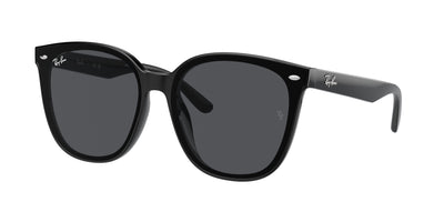 Ray-Ban RB4423D Sunglasses