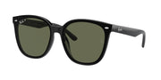 Ray-Ban RB4423D Black Sunglasses