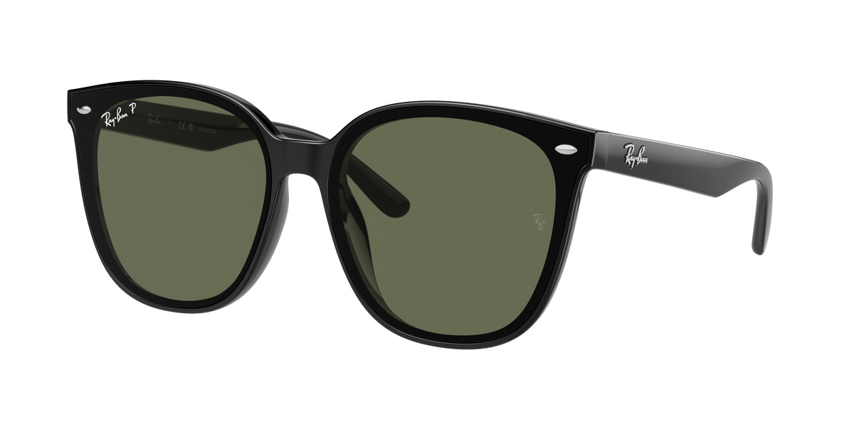 Ray-Ban RB4423D Black Sunglasses