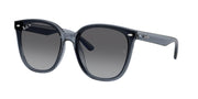 Ray-Ban RB4423D Dark Transparent Blue Sunglasses