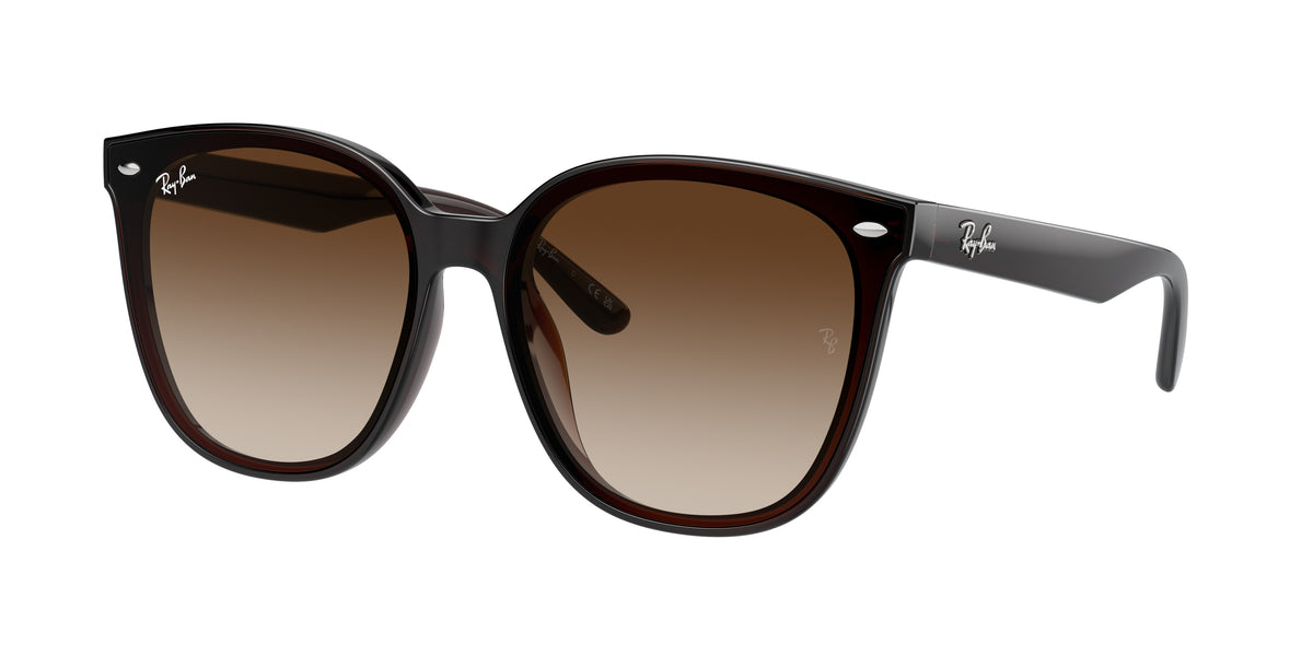 Ray-Ban RB4423D Transparent Brown Sunglasses