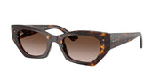 Ray-Ban RB4430 Havana Sunglasses