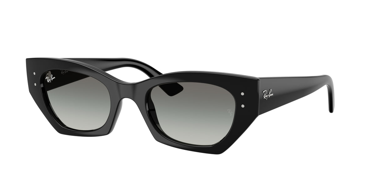 Ray-Ban RB4430 Black Sunglasses
