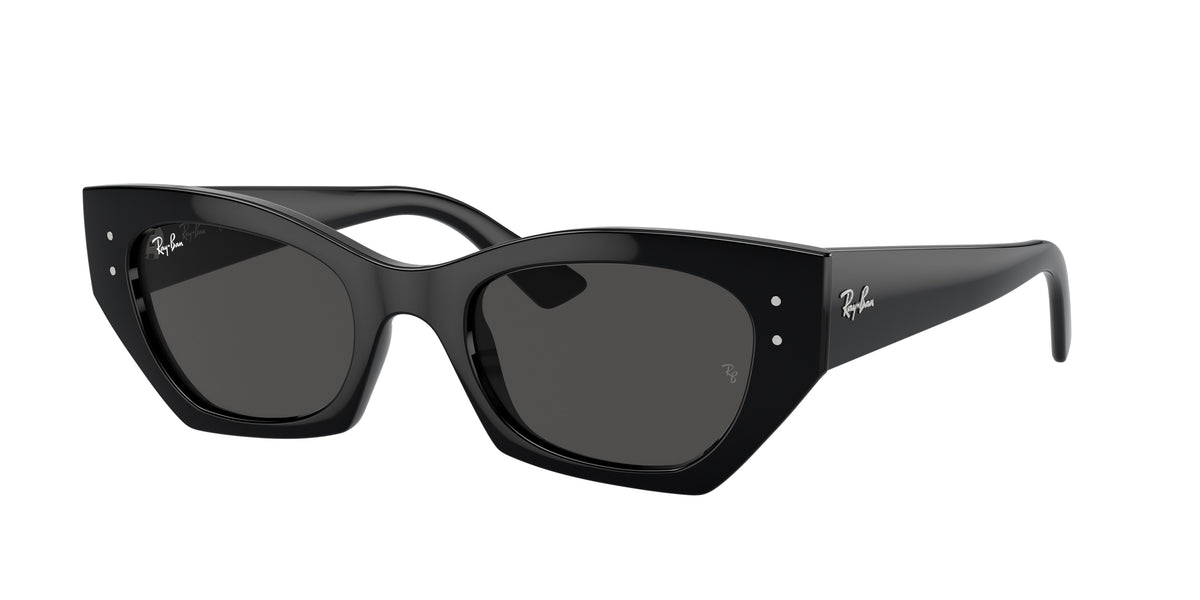 Ray-Ban RB4430 Black Sunglasses